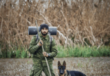 Top 5 GPS Dog Tracking Devices Top 5 GPS Dog Tracking Devices